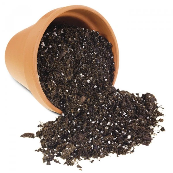 Soil - Mix of Vermicompost, coco soil, neem cake & cow dung (5Kg)