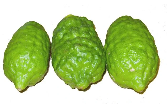 জারা লেবু (Satkara)