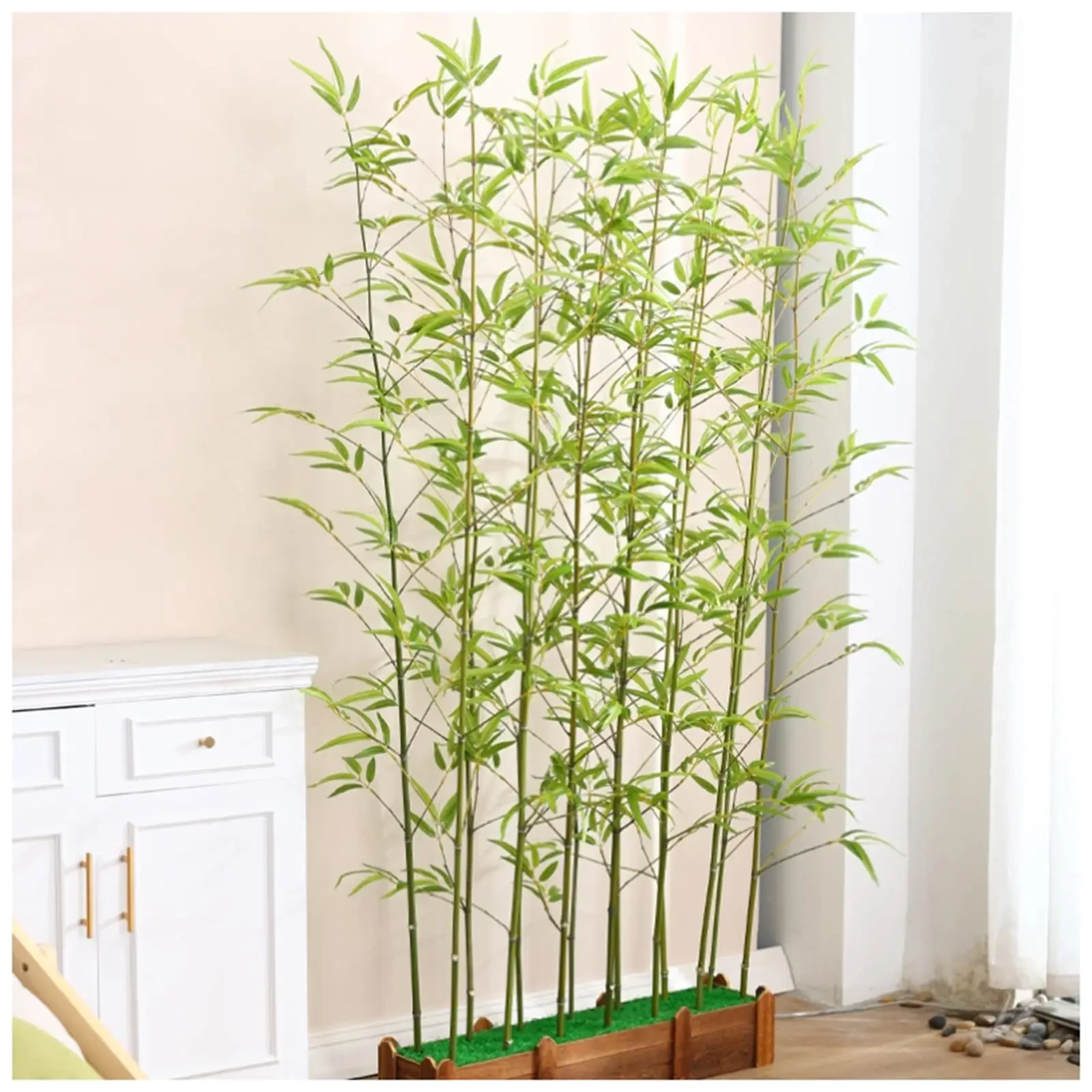 Golden Bamboo সোনালি বাঁশ